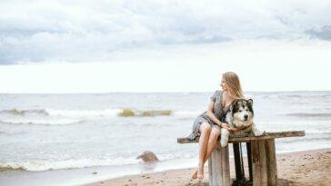 Thinking about £9.50 Sun holidays?