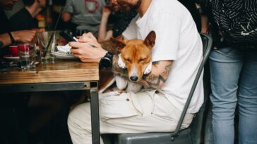 Top 5 places to grab a Sunday lunch with your pooch in Wales