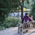 Milo's Top 5 Dog Friendly Finds