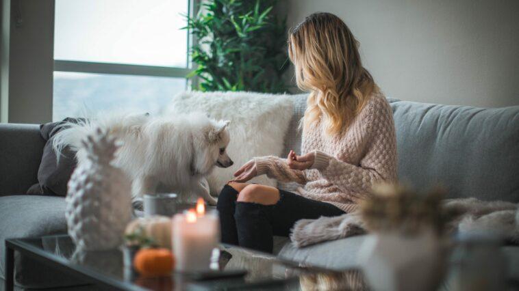 Are Scented Candle Fumes Toxic to Dogs?