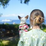 How to get a pet passport? - Dog Furiendly Travel Advice
