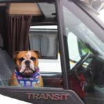 Mr Beefy’s First Dog Friendly Holiday to Scotland! - Dog Furiendly