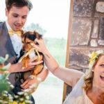 Our Dog Friendly Wedding at Rosedew Farm - Dog Furiendly