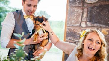 Our Dog Friendly Wedding at Rosedew Farm - Dog Furiendly