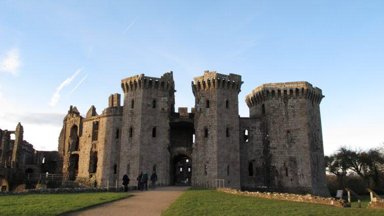 Piper Visits Dog Friendly Raglan Castle - Dog Furiendly