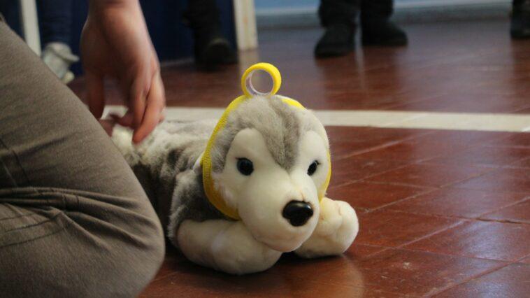 Unlike humans, dogs don't possess the skills to communicate with us when they're hurt or unwell. Simply knowing the signs for pain and discomfort could potentially save their life! Here's Why You Should Take a Pet First Aid Course.