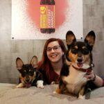 A Review of BrewDog's First Dog Friendly Hotel USA - Dog Furiendly