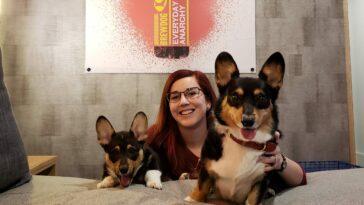 A Review of BrewDog's First Dog Friendly Hotel USA - Dog Furiendly