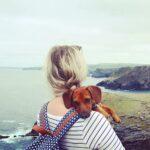 Tips on Becoming A Single Dog Parent - Dog Furiendly