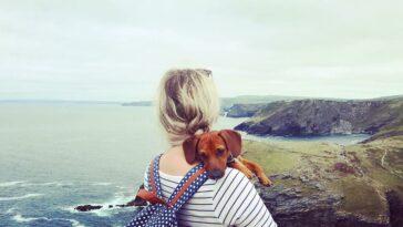 Tips on Becoming A Single Dog Parent - Dog Furiendly