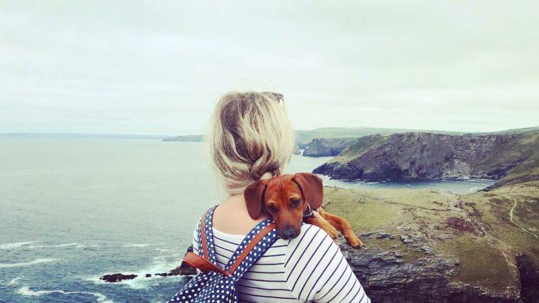 Tips on Becoming A Single Dog Parent - Dog Furiendly