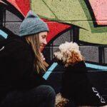 When Piper Met Ramsey: Introducing A New Puppy to the Pack - Dog Furiendly