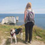 My Life With an Anxious Yellow Dog - Dog Furiendly