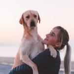 Things That Changed in My Life After Getting a Dog - Dog Furiendly