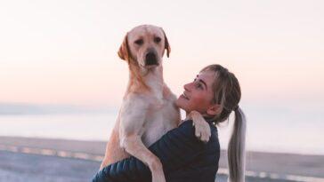 Things That Changed in My Life After Getting a Dog - Dog Furiendly