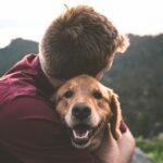 Why Everyone Needs a Dog in Their Life - Dog Furiendly