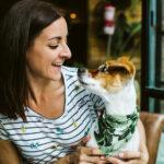 Dog Friendly Coffee Spots Dog Furiendly