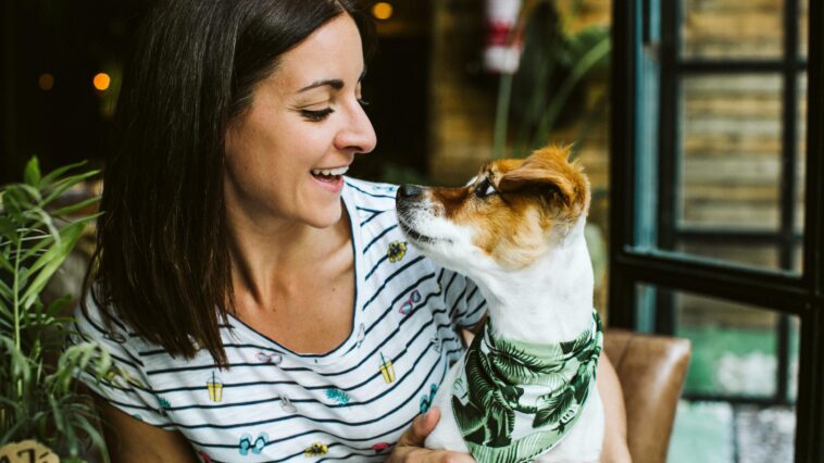 Dog Friendly Coffee Spots Dog Furiendly