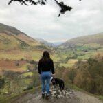 Wild Welsh Dog Friendly Adventures in Montgomery - Dog Furiendly
