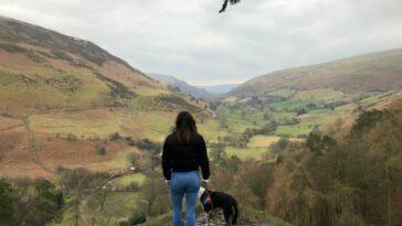 Wild Welsh Dog Friendly Adventures in Montgomery - Dog Furiendly