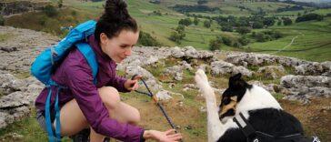 A Right Yorkshire Ramble - Dog Furiendly