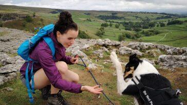 A Right Yorkshire Ramble - Dog Furiendly