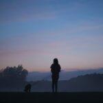 Planning a Dog Friendly Holiday to France - Dog Furiendly