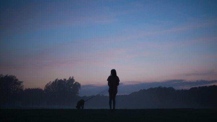 Planning a Dog Friendly Holiday to France - Dog Furiendly