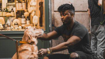 Our Guide to Dog Friendly Birmingham City Centre