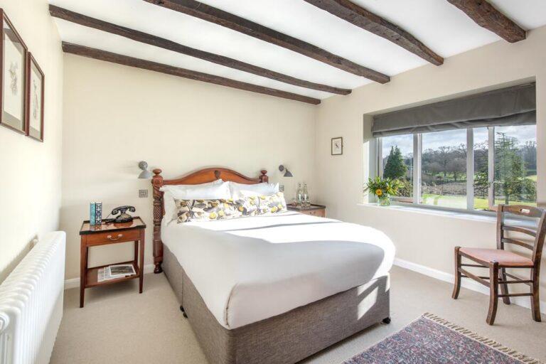 11 of the Best Dog Friendly Hotels in New Forest Houndy