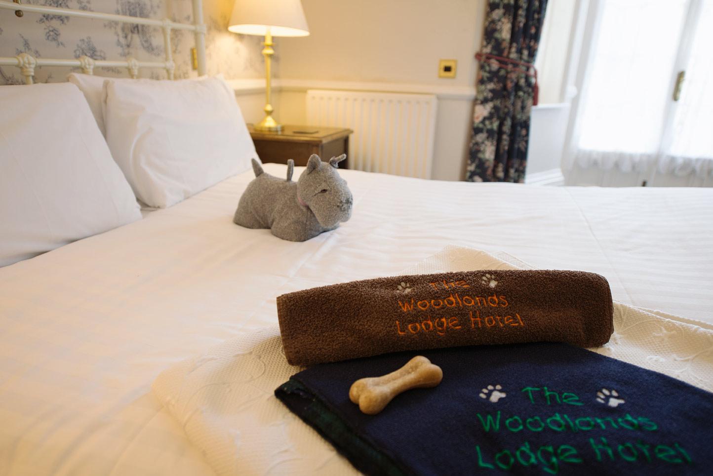 11 of the Best Dog Friendly Hotels in New Forest Houndy