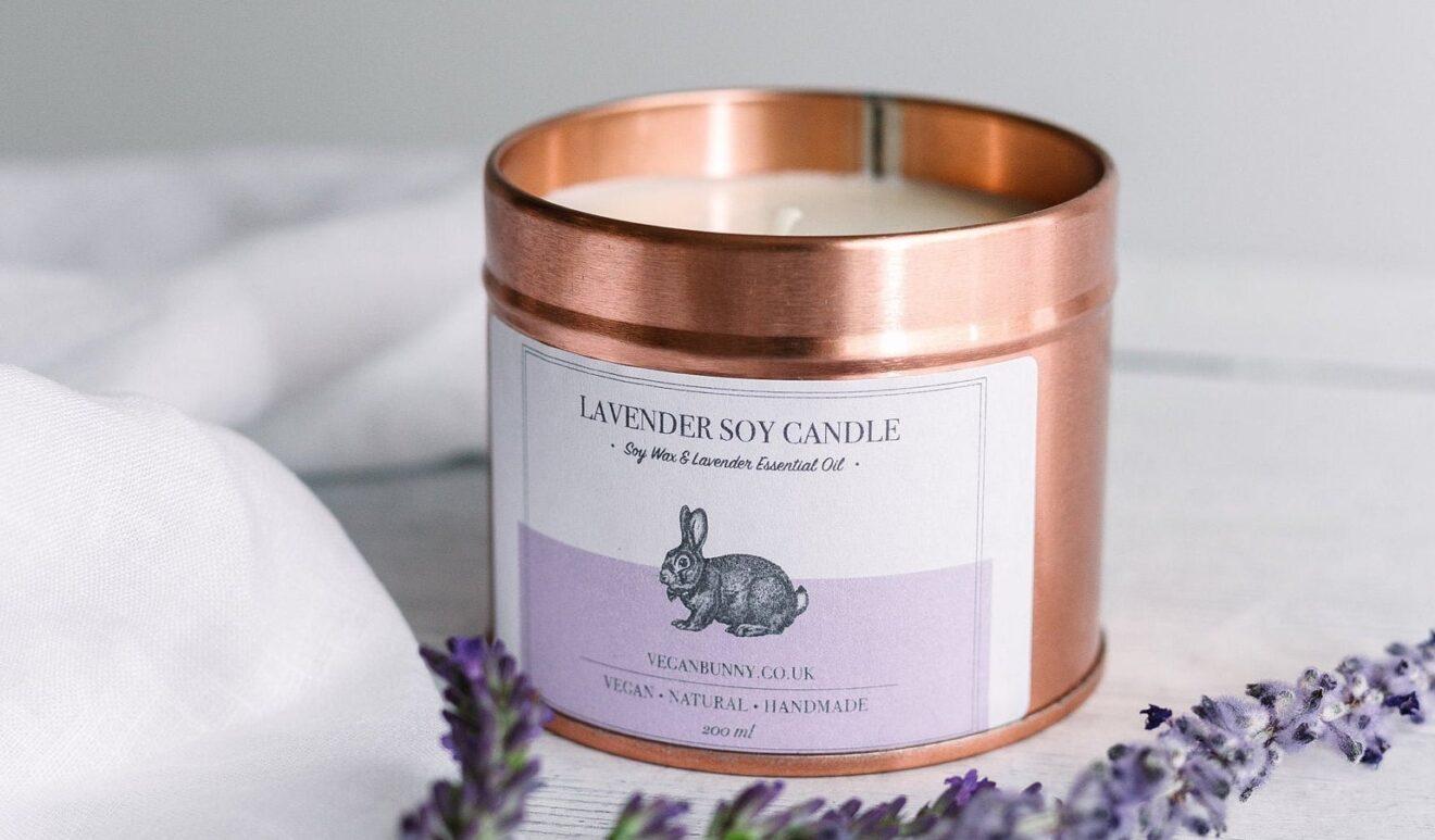 Are Scented Candles Toxic to Dogs? Houndy