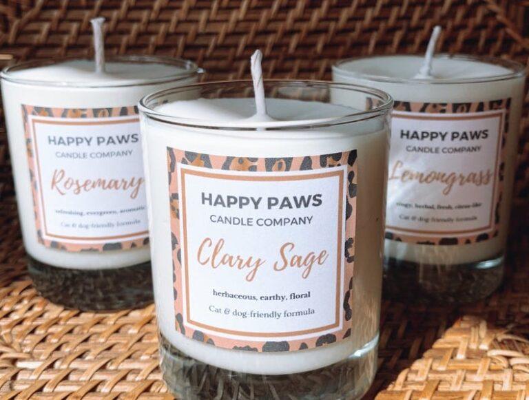 Are Scented Candles Toxic to Dogs? Houndy