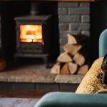 Dog Sitting by Fireplace