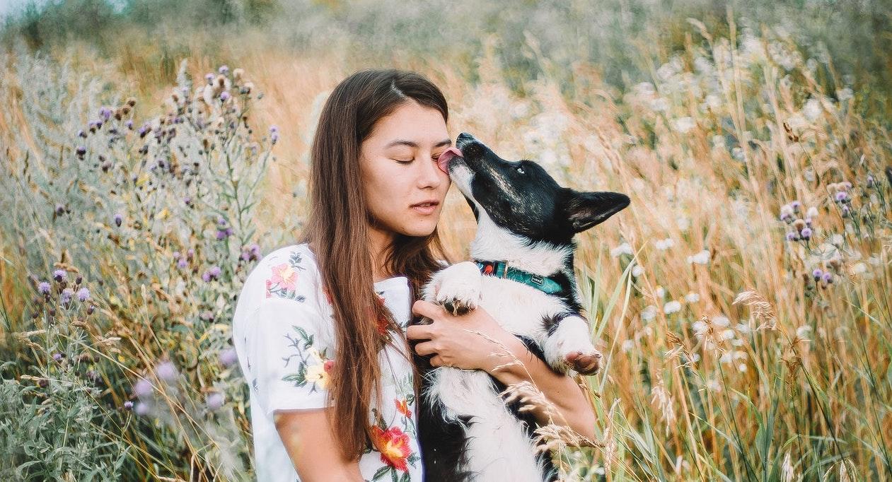 Why Do Dogs Lick You?