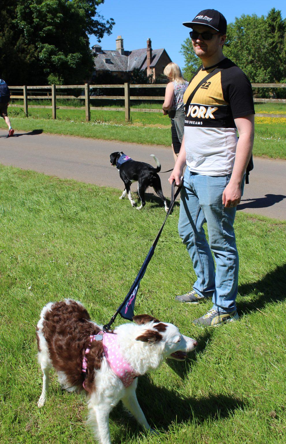 Our Experience At The Big Dog Walk Houndy