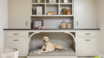 A dog in a pet nook. A big storage cabinet with a built in dog bed. Image courtesy of decoist.com
