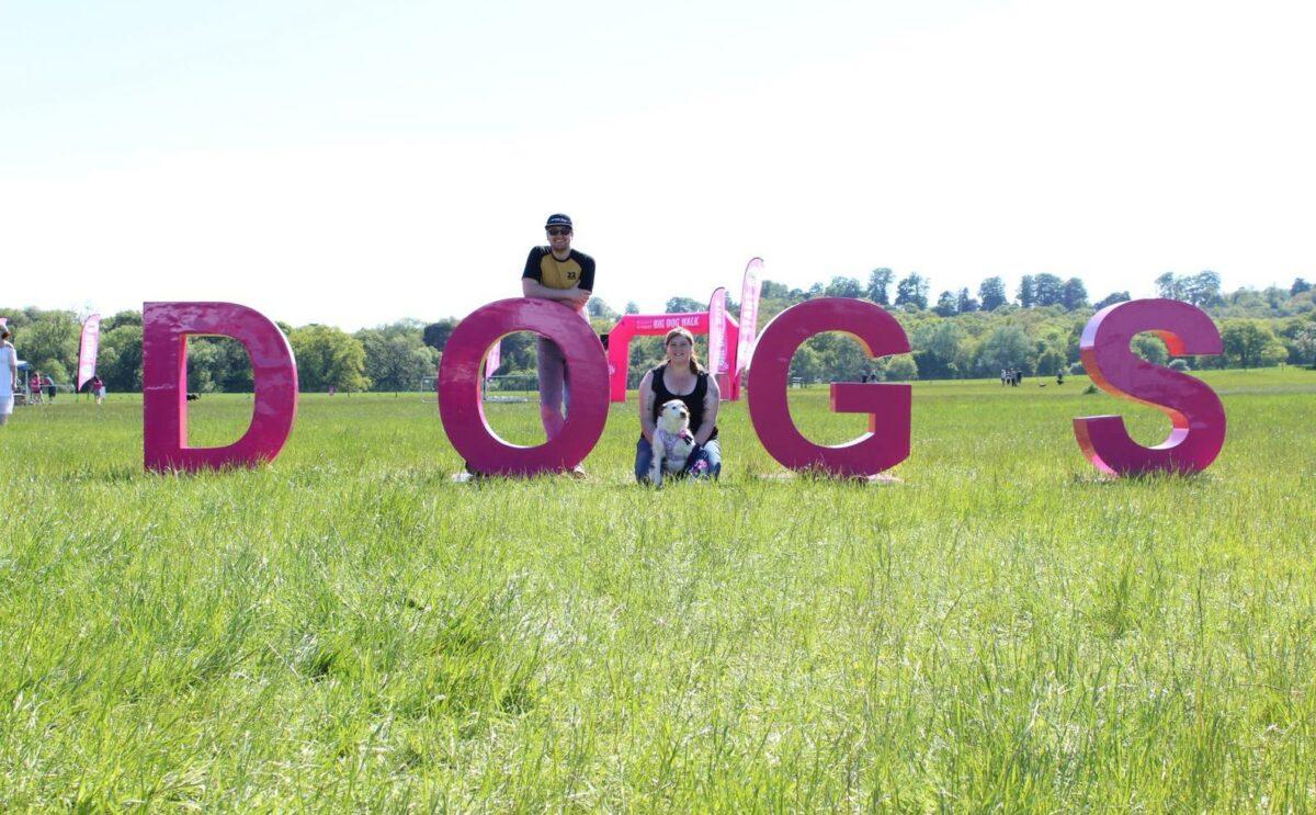 Our Experience At The Big Dog Walk Houndy