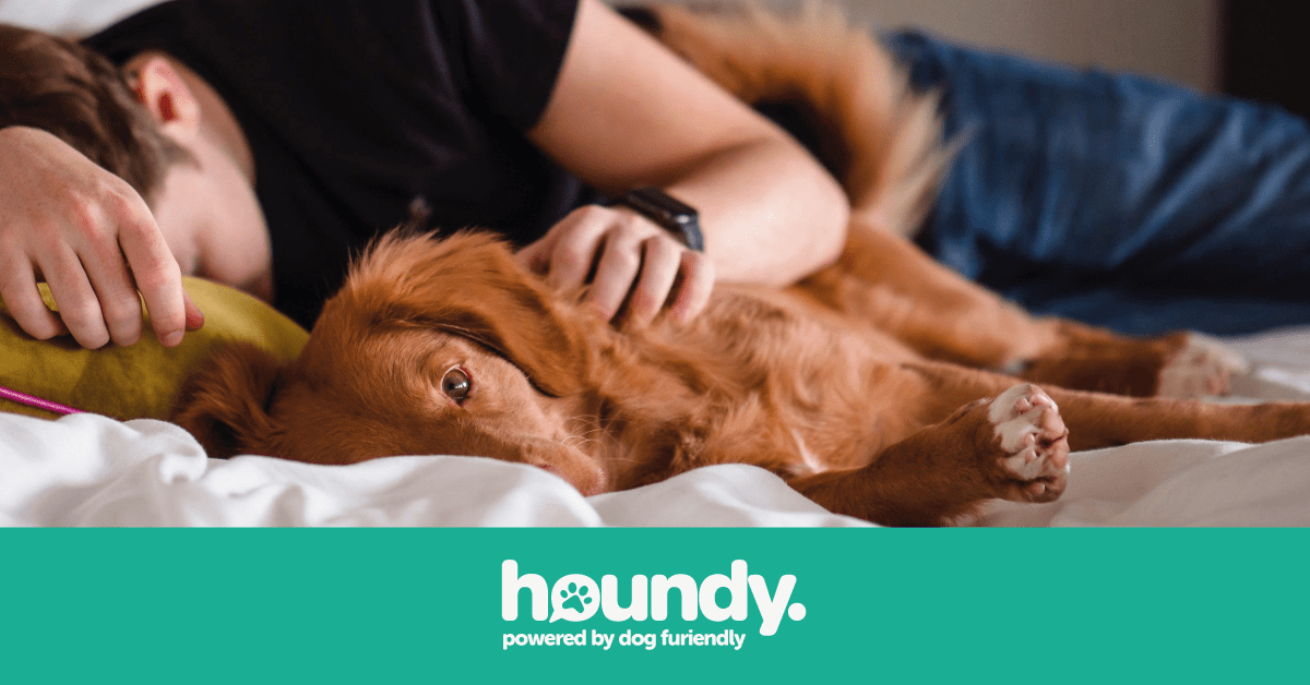 How To Say ‘I Love You’ in Dog Language? Houndy