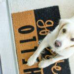 Best 10 Doggy Doormats to wipe your paws on!