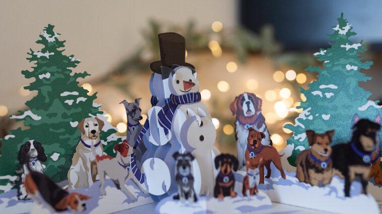 These fun pop up Christmas cards are the perfect gift for animal lovers and all proceeds go to charity