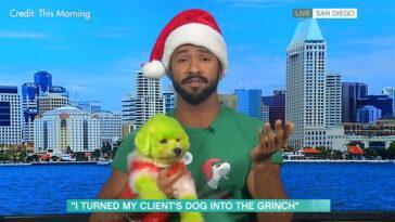 Cute or cruel? this dog groomer performs elaborate makoevers on pooches