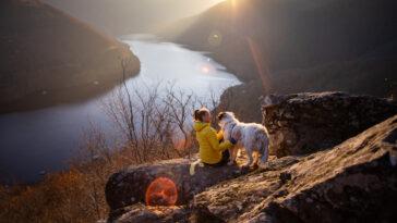 Check out our list of the best dog friendly hiking trails all around the world!