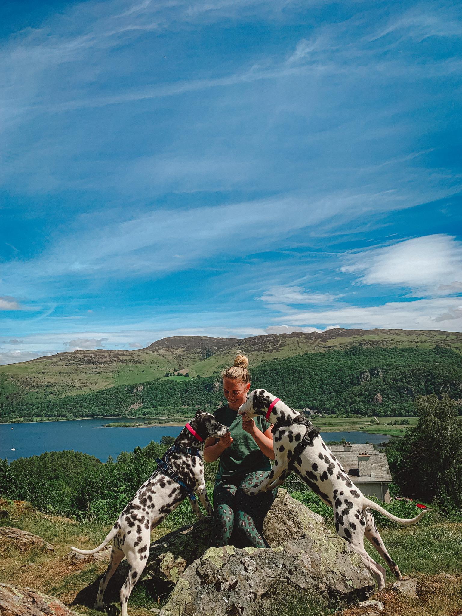 Molly McCann has an epileptic dog called Darla