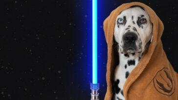 Loki is feeling the paws of all these Star Wars dog gifts!