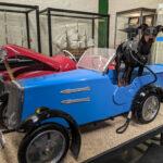 Dundee Transport Museum is one of many dog friendly museums around the UK