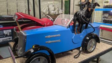 Dundee Transport Museum is one of many dog friendly museums around the UK