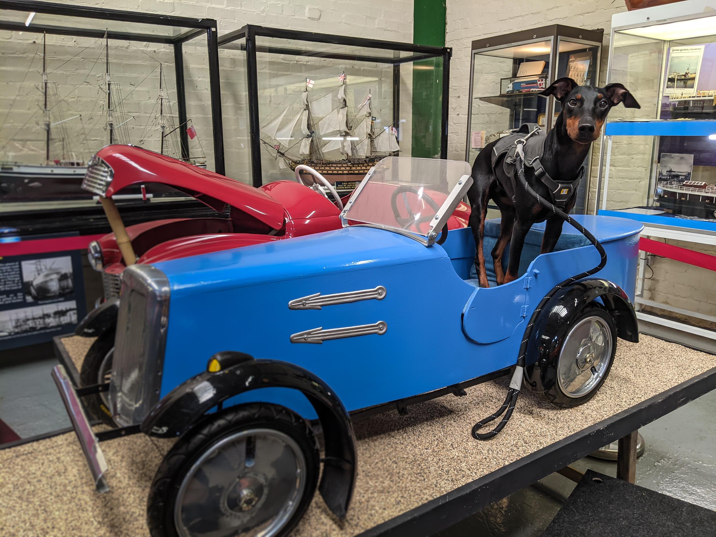 Dundee Transport Museum is one of many dog friendly museums around the UK