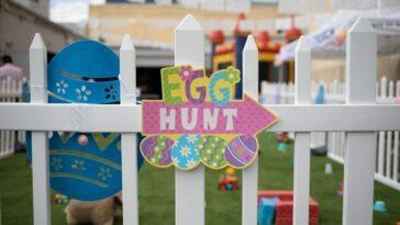 Dogs love Easter but as everyone knows they shouldn't be fed chocolate! This isn't the only risk posed to dogs at the dinner table this year, check out this list courtesy of Burns Pet Nutrition