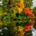 Southampton is such a dog friendly place it makes sense that it is hosting Dogstival this year!